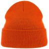 Eko Beanie