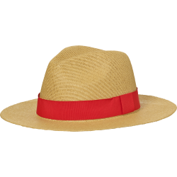 MB6599 Traveller Hat
