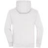 JN963 Men's Lifestyle Zip-Hoody